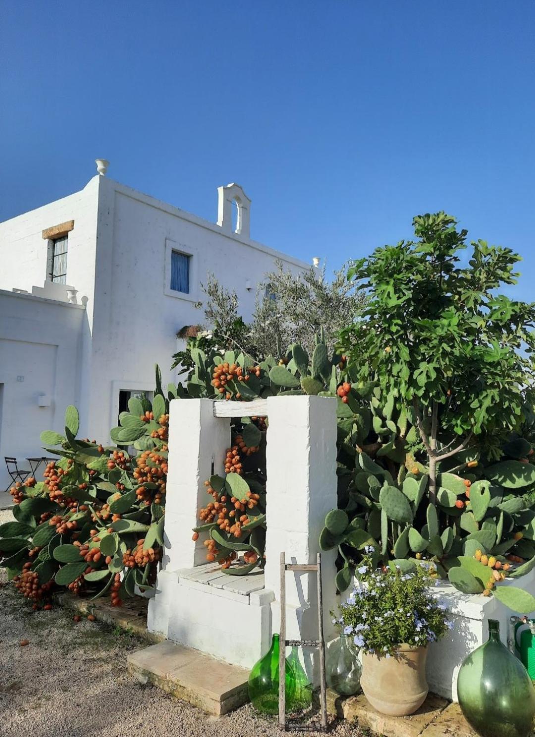 Masseria Fulcignano Galatone Esterno foto